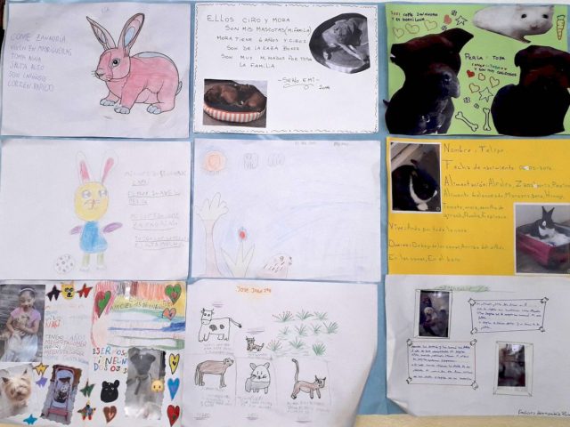 Conmemoramos el Día del Animal Conmemoramos el Día del Animal