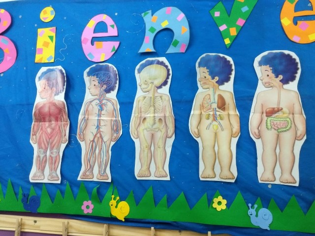 Proyecto «Mi cuerpo» en Sala de 3-4 TM Proyecto «Mi cuerpo» en Sala de 3-4 TM
